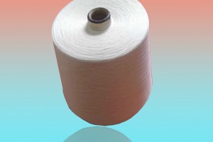 精梳工序什么意思，精梳工序什么意思啊